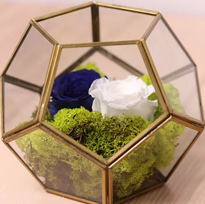 Blue and White Roses In Designer Base