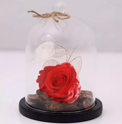 Forever Roses