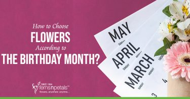 How to Choose Flowers According to the Birthday Month?