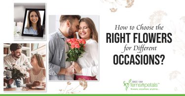 How to Choose the Right Flowers for Different Occasions?