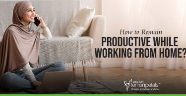 How to Remain Productive While Working from Home?