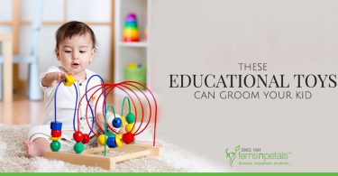 These Educational Toys can Groom Your Kid