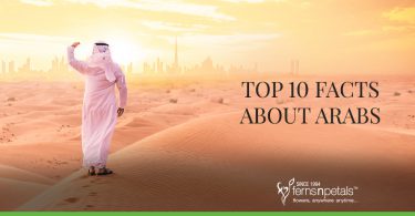 Top 10 Facts About Arabs
