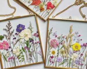 Dry Flower Frames