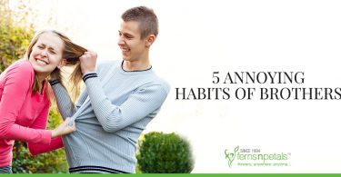 5 annoying habits of brothers