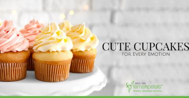 Cute Cupcakes for Every Emotion