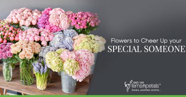 Flowers to Cheer Up your Special Someone