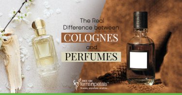 The real difference between cologne and perfume