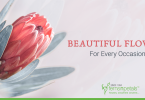 Beautiful-Flowers-For-Every-Occasion