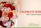 Celebrate-Rose-Day-with-Colourful-Roses