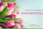Hidden Meaning Behind your Favourite Flower