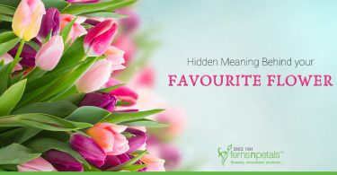 Hidden Meaning Behind your Favourite Flower