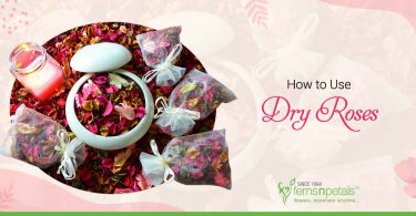 How-to-Use-Dry-Roses