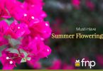 Must-Have-Summer-Flowering-Plants - FNP