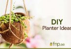 DIY Planter Ideas