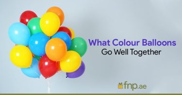 What Colour Balloons Go Well Together
