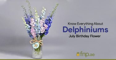 July-Birthday-Flowers