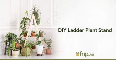 DIY-Ladder-Plant-Stand