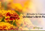 October’s-Birth-Flower