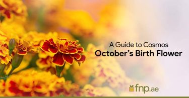 October’s-Birth-Flower