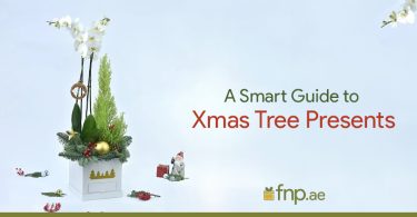 Guide to Xmas Tree Presents