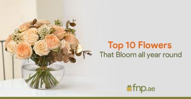 Top 10 Flowers that Bloom All Year
