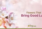 Flowers that bring good luck