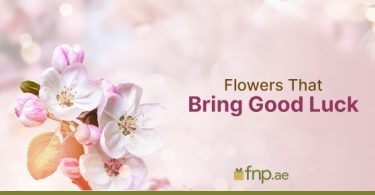 Flowers that bring good luck
