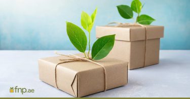 eco-friendly gifts