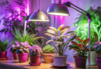 Grow Lights for Indoor Plants
