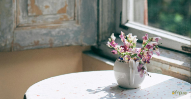 Sunlight falling on pink flower pot that is kept on table