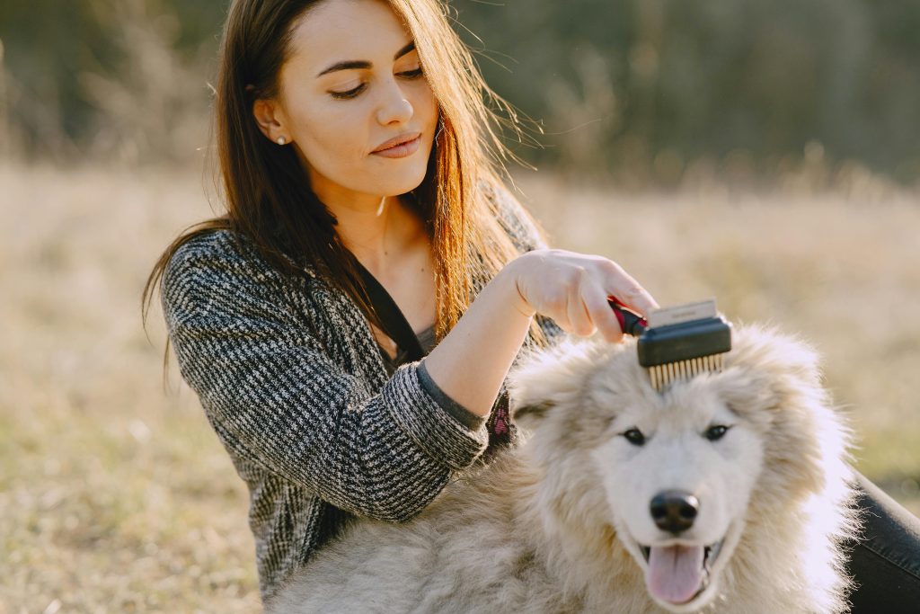 A women brushing and combing dog hair