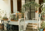 Beautiful Plant arranged elegantly in front entrance of the home