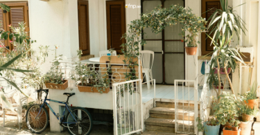 Beautiful Plant arranged elegantly in front entrance of the home