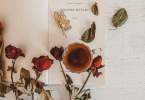 Preserved Roses kept on inside opened book
