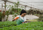 Women watering Plants in the Garden