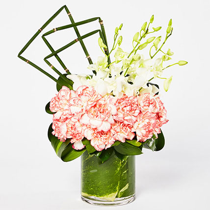 Carnations Flowers