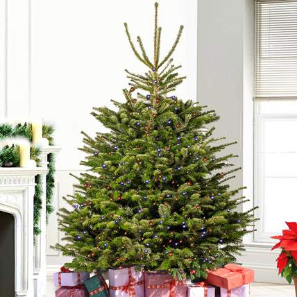 Fresh Xmas Tree with LED