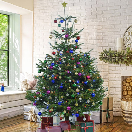 Beautiful Fresh Christmas tree decorated with ornaments with gift boxes kept under it