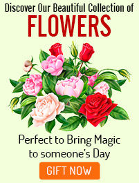All Flowers