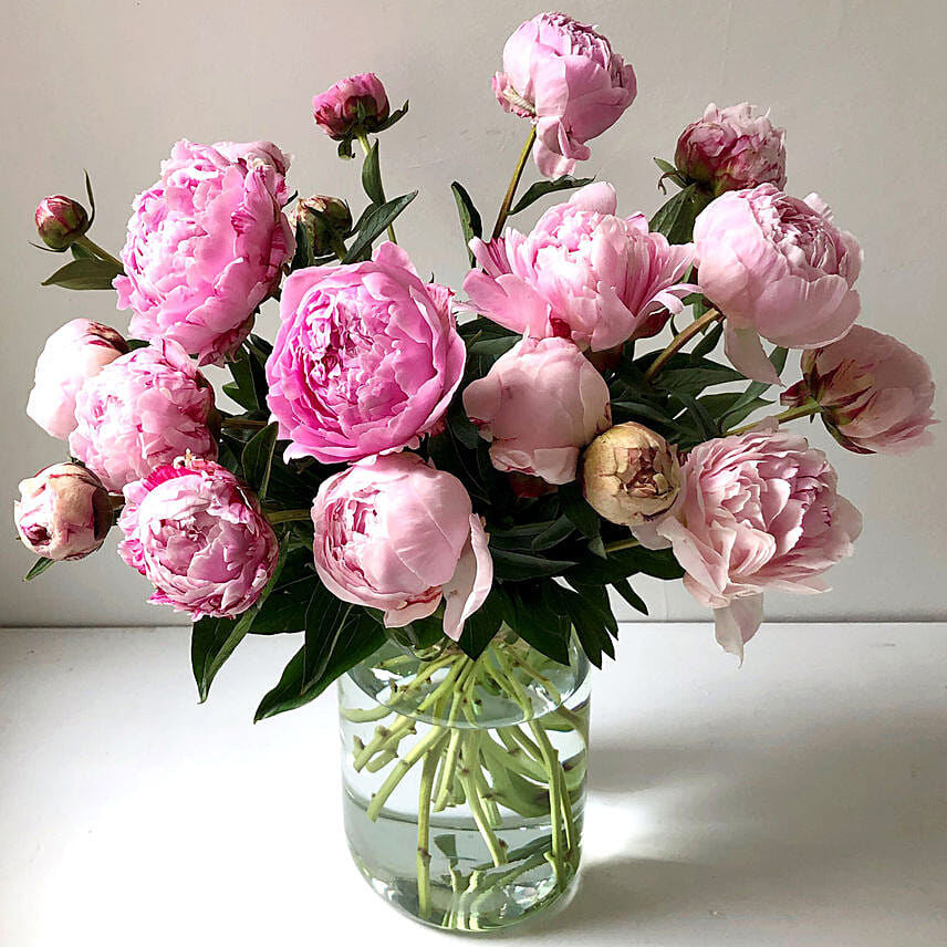 Flowers to Cheer Up your Special Someone Flowers to Cheer Up your Special Someone