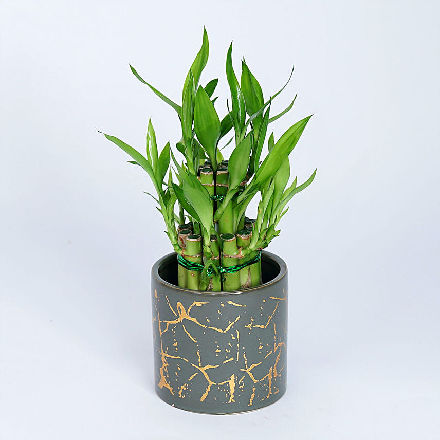 5 Housewarming Gifts that Bring Good Luck 5 Housewarming Gifts that Bring Good Luck