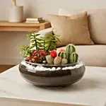 Jade With Fittonia & Cactus Plant In Small Fish Bowl