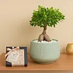 Chocolates & Bonsai Delight Set