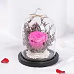 Dark Pink Forever Rose in Glass Dome