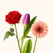 Mixed Flowers