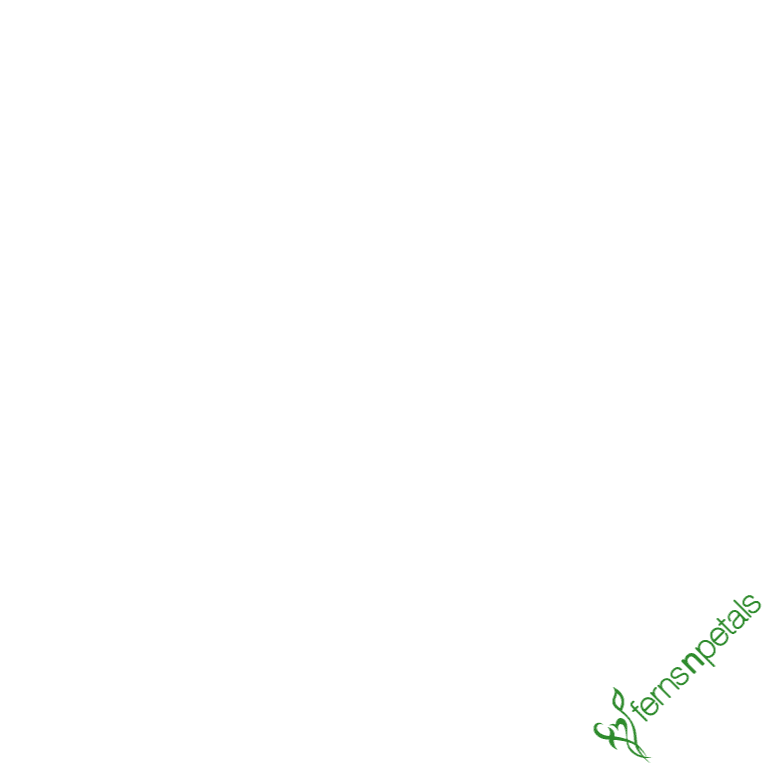 promise-day-wishes20.jpg