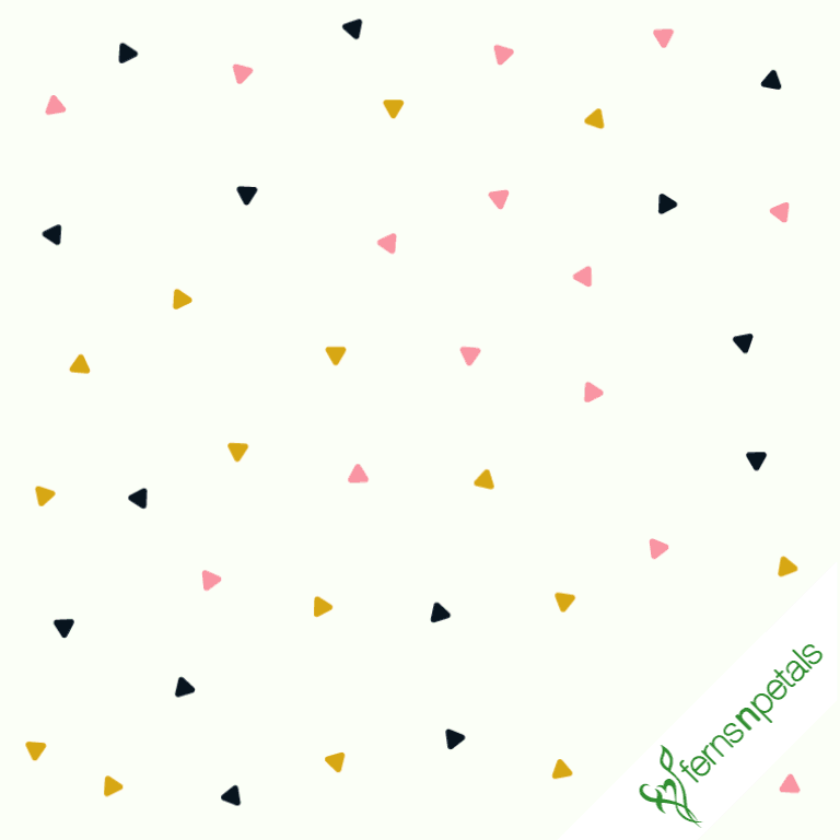 Teddy day gifs