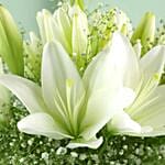 Blooming Asiatic Lilies In Black Ribbon Tied Vase