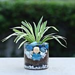 Buddha Blessings Plant N Cake Combo